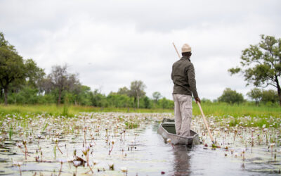 The Okavango Delta, Botswana