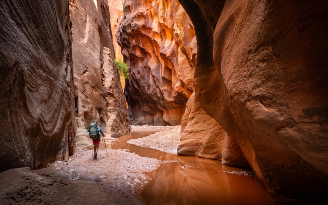 Buckskin Gulch and Paria Canyon